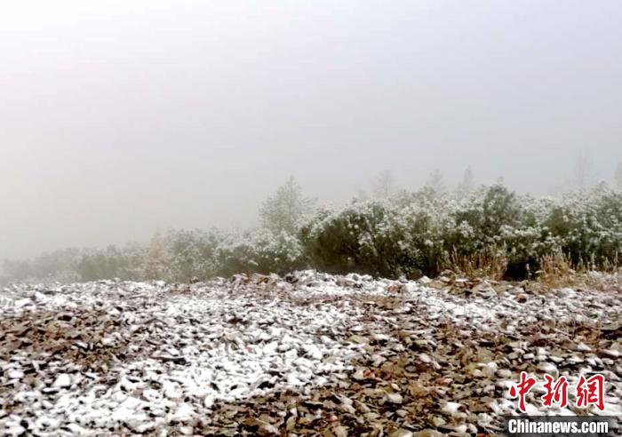 降雪現(xiàn)場(chǎng)?！⊥跄菽?攝