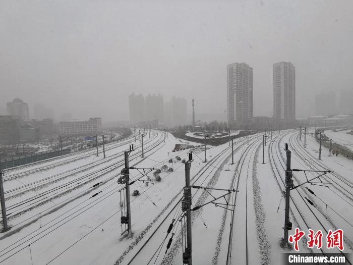 11月19日，黑龍江省迎來今年入冬以來最大降雪。　姜輝 攝