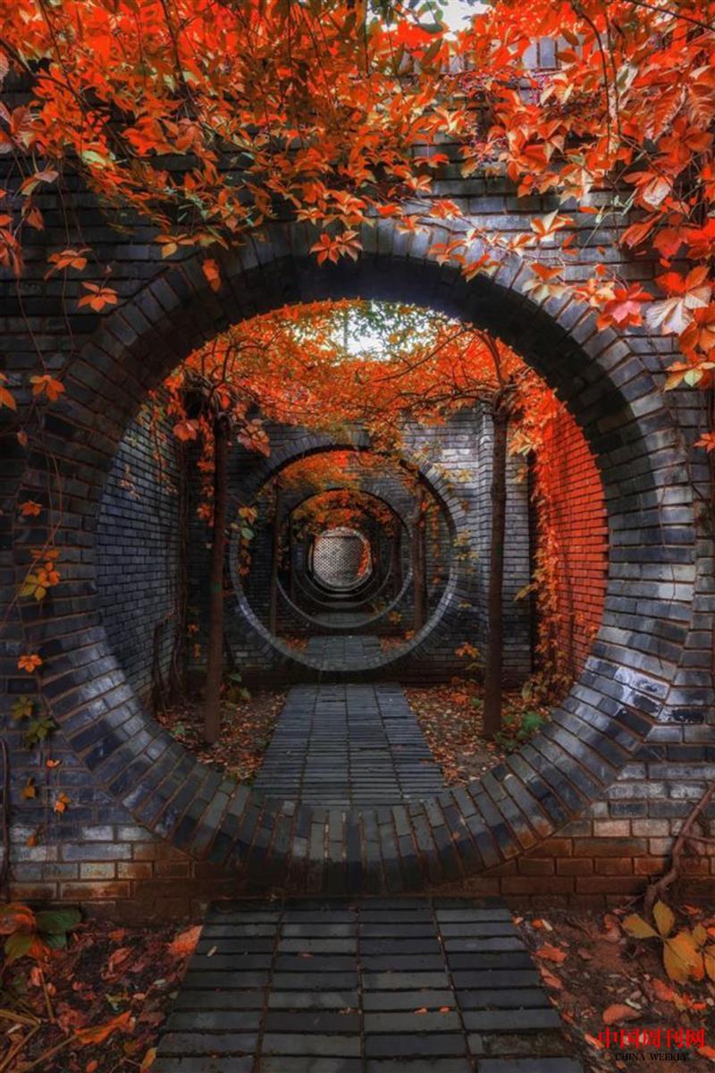 北京紅磚美術(shù)館秋色.jpg
