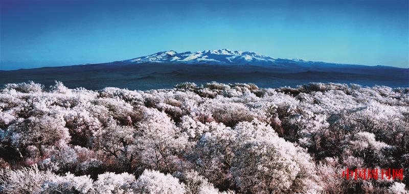 冬日長白山.jpg 冬日長白山.jpg