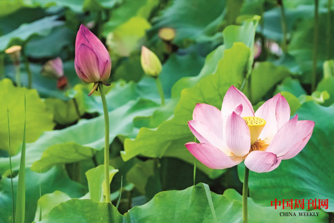 微信截圖_20230316160647.png