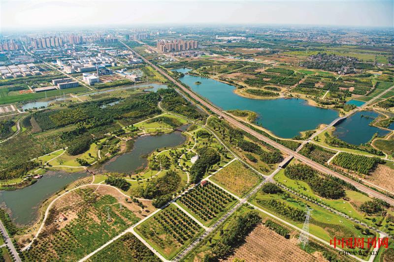 界首市城鄉(xiāng)新貌10（萬畝森林公園）.jpg