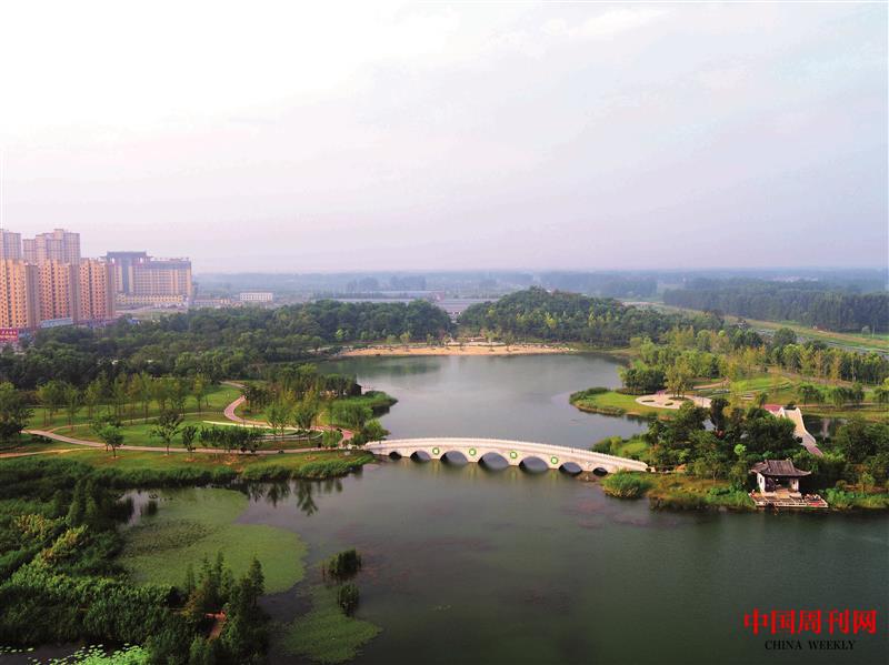 界首市+朱曉峰+潁南植物園.JPG