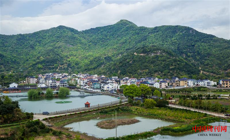 稿13-寧波市泗洲頭鎮(zhèn)墩岙村.png