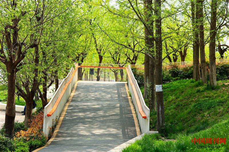 雁南公園無障礙步行橋入口.jpg