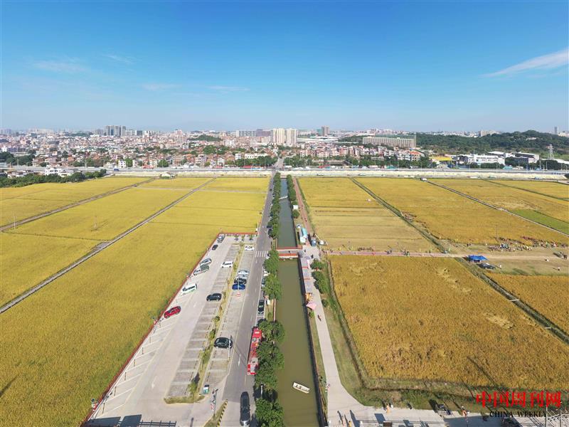 b5a86d4215b070eada15a1f3aace971.jpg
